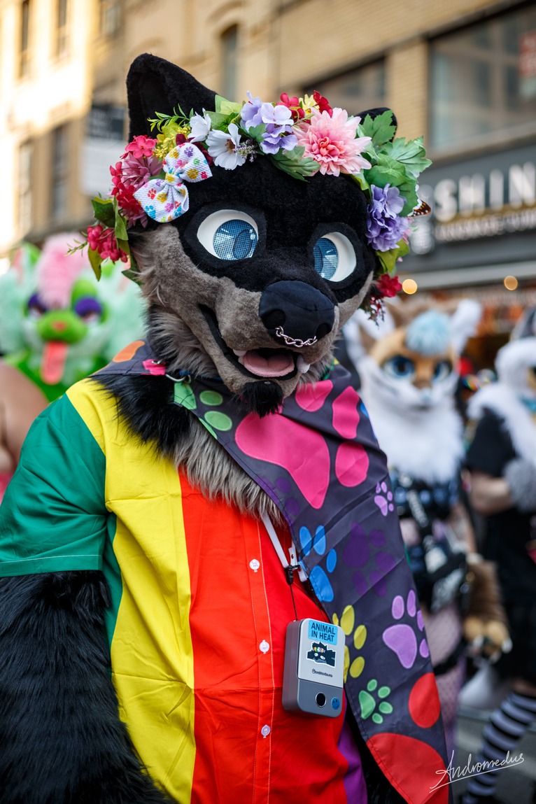hyperdefined's fursona in a pride parade with a pride cape