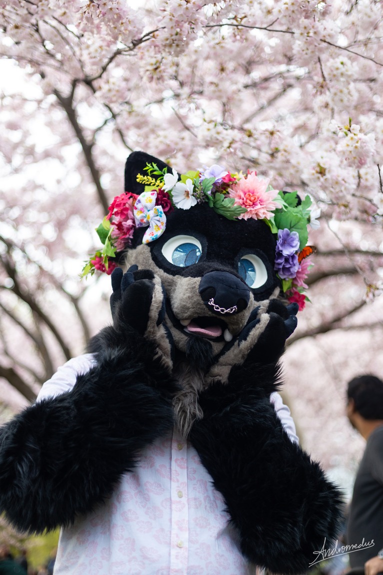 hyperdefined with hands on face in front of cherry tree